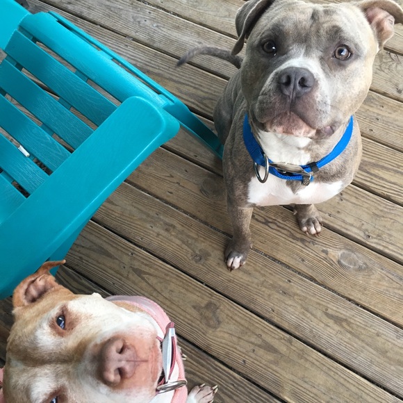 Meet your Posher, Jamie - Picture 1 of 1